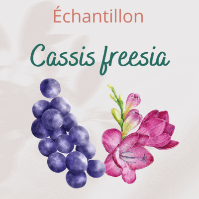 Échantillon Cassis freesia