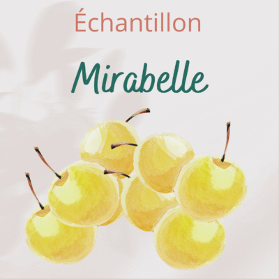 Échantillon Mirabelle