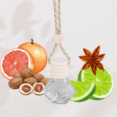 Diffuseur voiture Chalet en Laponie