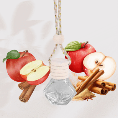 Diffuseur voiture Pomme Cannelle