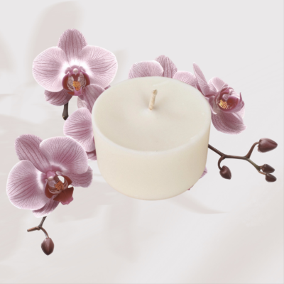 Recharge bougie Orchidée noire