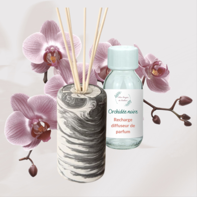 orchidée noire