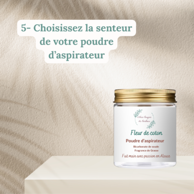 Choix Poudre d'aspirateur